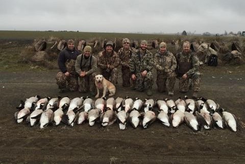 Andy Goose Hunt